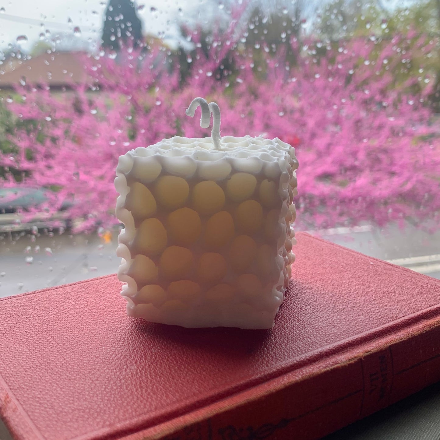 The Honeycomb Box Candle